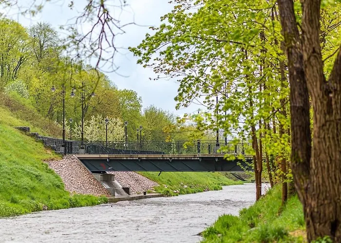 Cozy Japanese Oasis With Balcony, Gramophone, Netflix アパート *